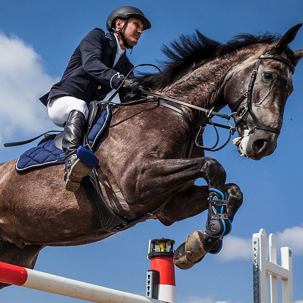 horse_pic